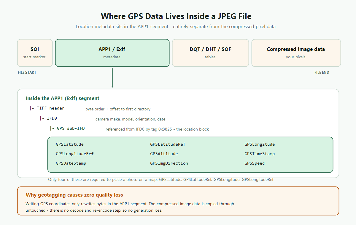 Diagram of a JPEG file's segments — SOI, APP1/Exif, DQT/DHT/SOF and compressed image data — with the APP1 segment expanded to show the TIFF header, IFD0 and the GPS sub-IFD containing GPSLatitude, GPSLatitudeRef, GPSLongitude, GPSLongitudeRef, GPSAltitude, GPSTimeStamp, GPSDateStamp, GPSImgDirection and GPSSpeed.